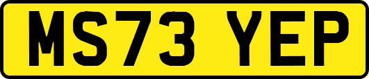 MS73YEP