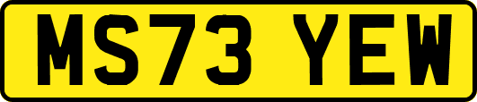 MS73YEW