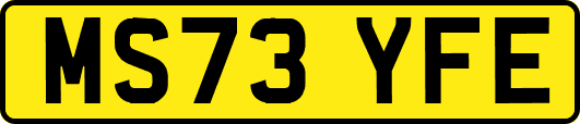 MS73YFE