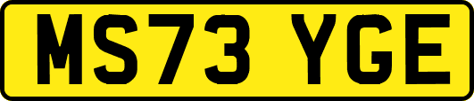MS73YGE