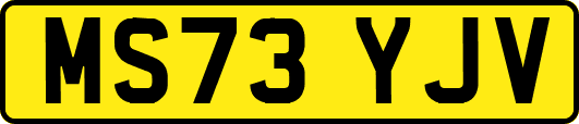 MS73YJV