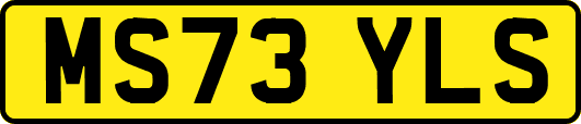 MS73YLS