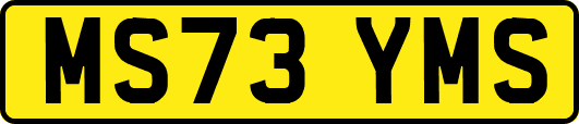 MS73YMS