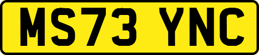 MS73YNC