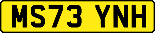 MS73YNH