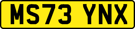 MS73YNX