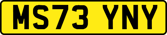 MS73YNY
