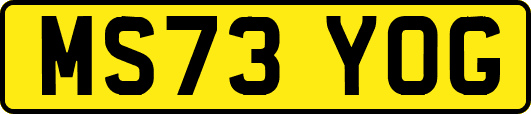 MS73YOG