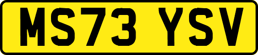MS73YSV