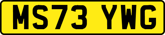 MS73YWG