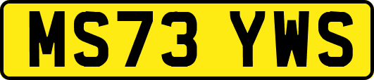 MS73YWS