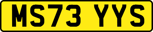 MS73YYS