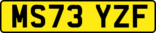 MS73YZF
