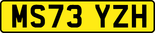 MS73YZH