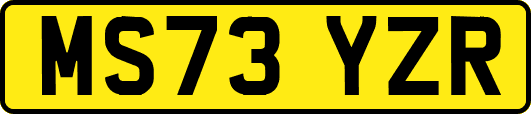 MS73YZR