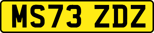 MS73ZDZ