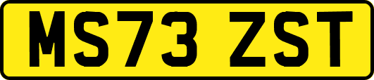 MS73ZST