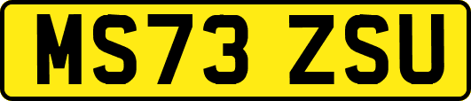 MS73ZSU