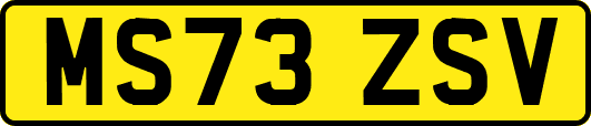 MS73ZSV