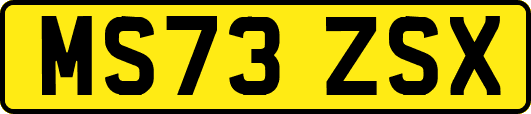 MS73ZSX