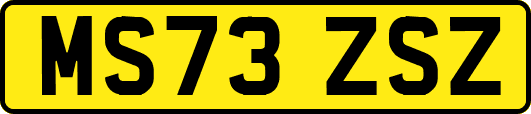 MS73ZSZ