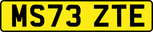 MS73ZTE