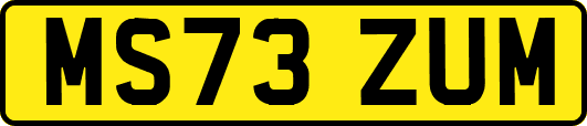 MS73ZUM