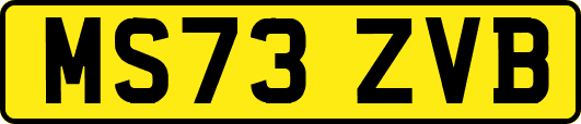 MS73ZVB