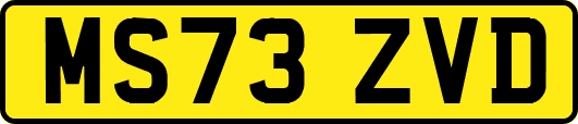 MS73ZVD