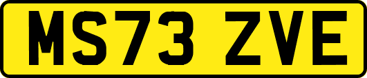 MS73ZVE