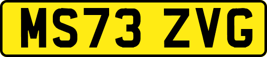 MS73ZVG