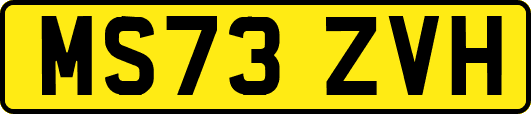 MS73ZVH