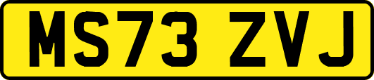 MS73ZVJ
