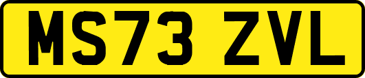 MS73ZVL