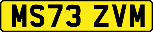 MS73ZVM