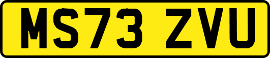 MS73ZVU