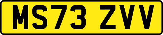 MS73ZVV