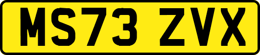 MS73ZVX