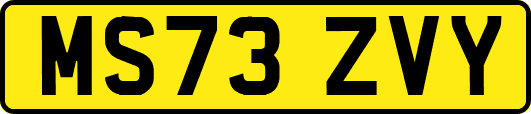 MS73ZVY