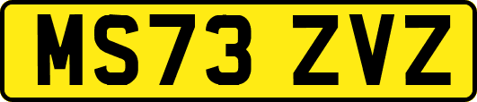 MS73ZVZ