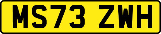 MS73ZWH