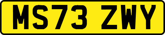 MS73ZWY