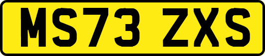 MS73ZXS
