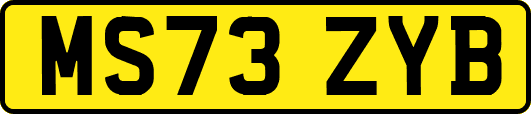 MS73ZYB