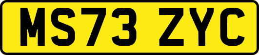 MS73ZYC