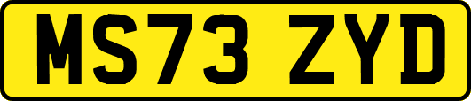 MS73ZYD