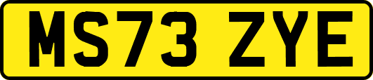 MS73ZYE