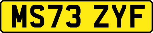 MS73ZYF