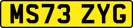 MS73ZYG