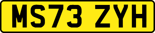MS73ZYH